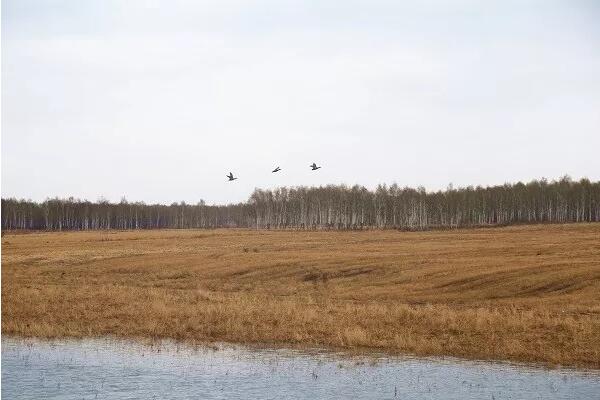 5afd30a0527e8.jpg QQ截圖20180517153429.jpg