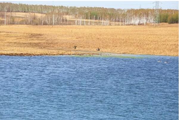 5afd30a9a79eb.jpg QQ截圖20180517153443.jpg